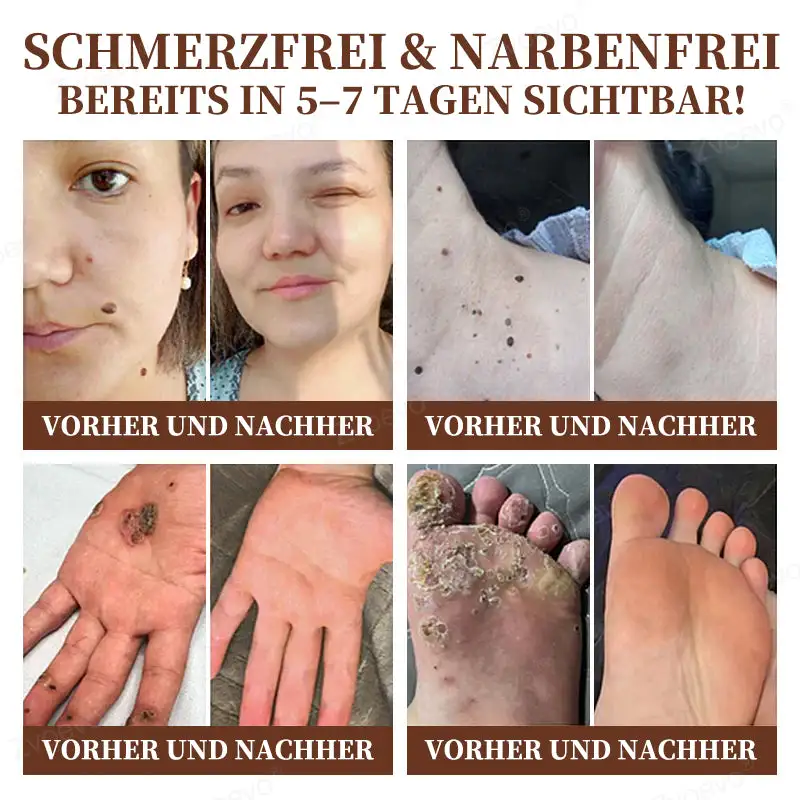 ðð¢ðð§ðð§ð ð¢ðð ðð®ð¥ðð¢ðð®ð§ð€ðð¢ðšð§ð¬-ðð¡ðð«ðð©ð¢ððð«ððŠð - Image 8