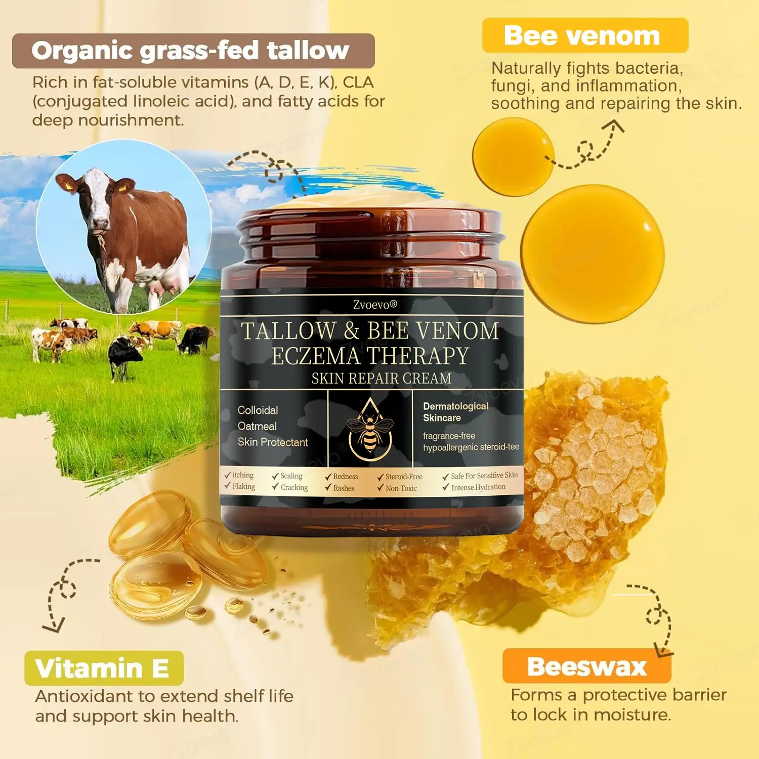 ๐๐ฌ๐จ๐ซ๐ข๐๐ฌ๐ข๐ฌ & ๐๐๐ณ๐๐ฆ๐ ๐๐๐ฅ๐ข๐๐ ๐๐ซ๐๐๐ฆ - Image 8