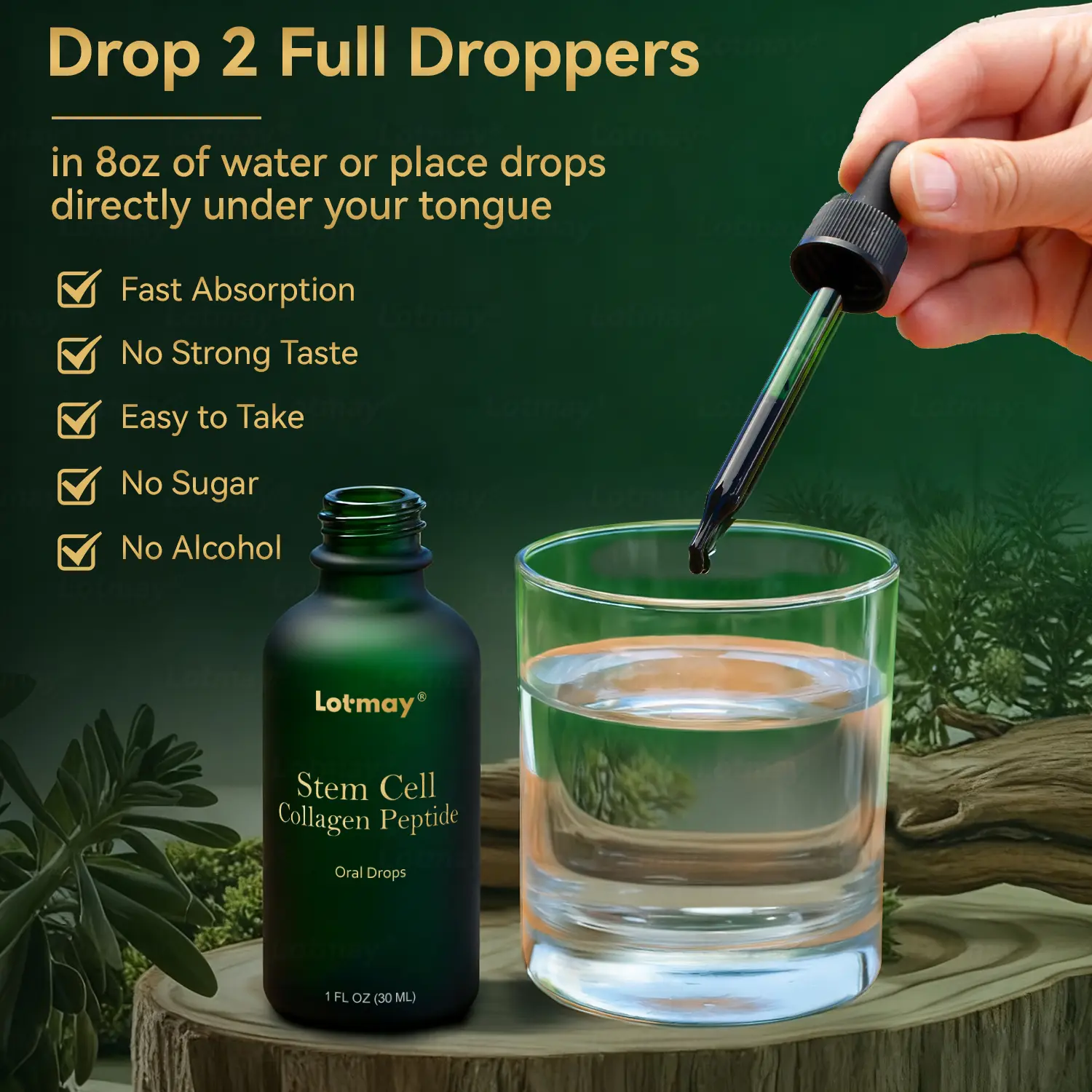 ๐๐ก๐๐ ๐ถ๐๐๐ & ๐ถ๐๐๐๐๐๐๐ ๐๐๐๐ก๐๐๐ ๐๐๐๐ ๐ท๐๐๐๐ - Image 11