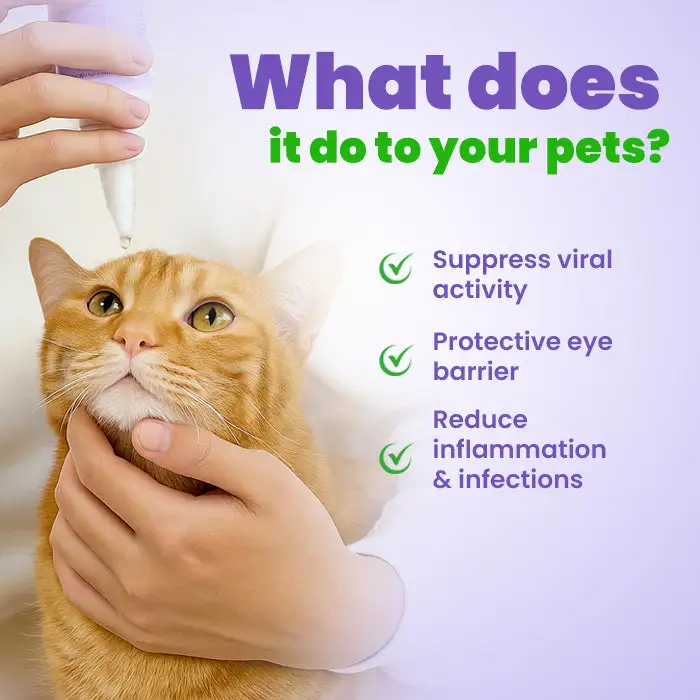 PetPro Eye Drops - Image 2