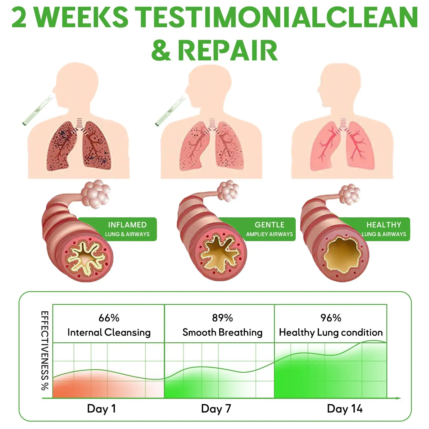 Botanical Mullein Lung Cleanse Diffuser - Image 7