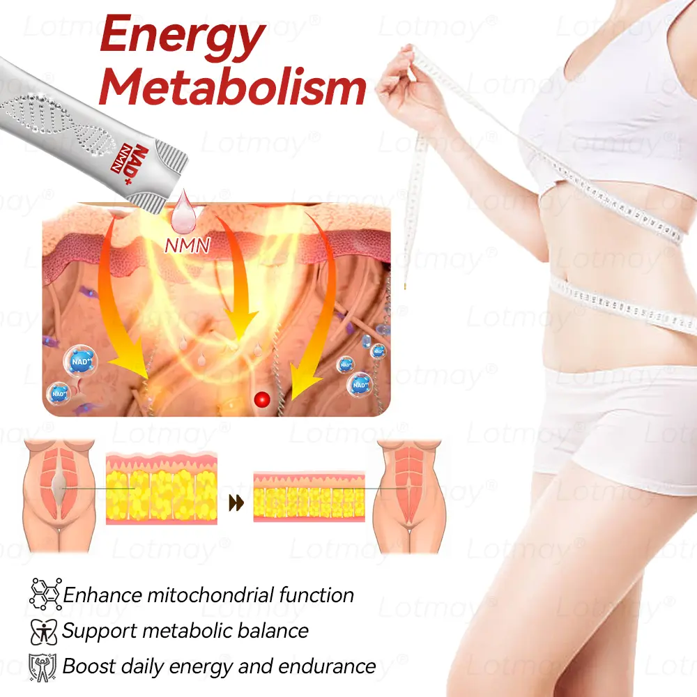 ๐ก๐ ๐ญ N๐ ๐ณ+ ๐ฑ๐๐s๐ F๐๐mi๐g & A๐๐i-๐บ๐๐๐๐ ๐ฎ๐๐l Li๐พ๐๐ถd - Image 10