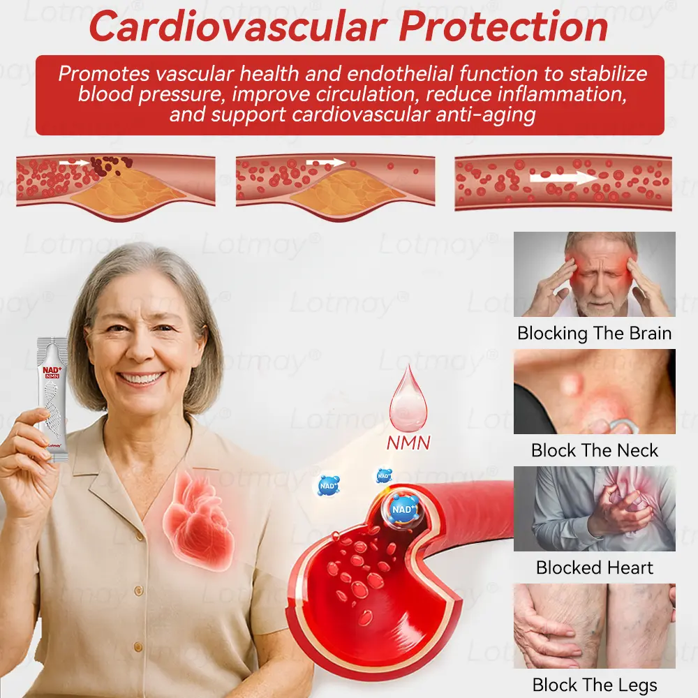 ๐ก๐ ๐ญ N๐ ๐ณ+ ๐ฑ๐๐s๐ F๐๐mi๐g & A๐๐i-๐บ๐๐๐๐ ๐ฎ๐๐l Li๐พ๐๐ถd - Image 11