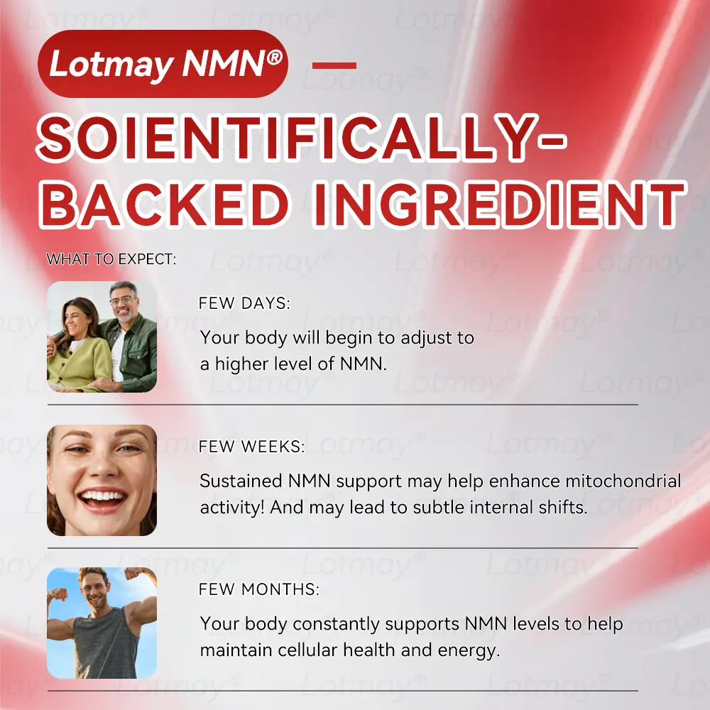 ๐ก๐ ๐ญ N๐ ๐ณ+ ๐ฑ๐๐s๐ F๐๐mi๐g & A๐๐i-๐บ๐๐๐๐ ๐ฎ๐๐l Li๐พ๐๐ถd - Image 13