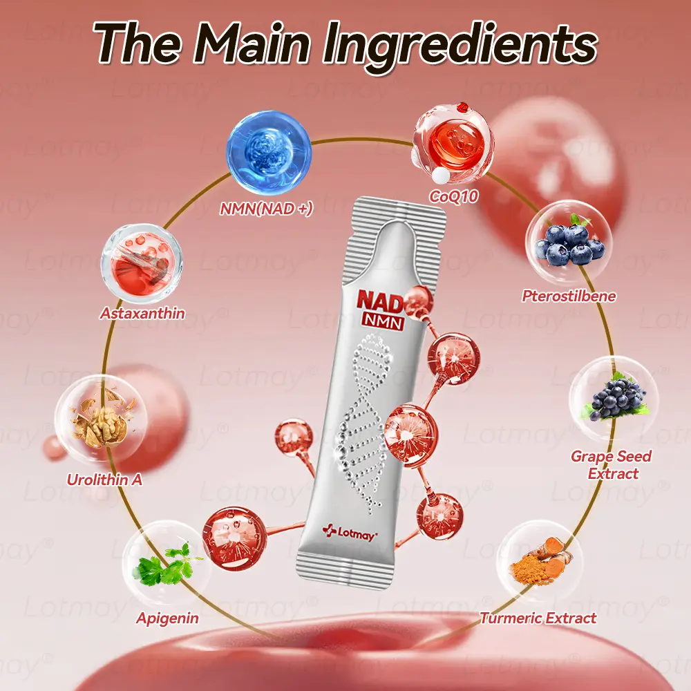 ๐ก๐ ๐ญ N๐ ๐ณ+ ๐ฑ๐๐s๐ F๐๐mi๐g & A๐๐i-๐บ๐๐๐๐ ๐ฎ๐๐l Li๐พ๐๐ถd - Image 6